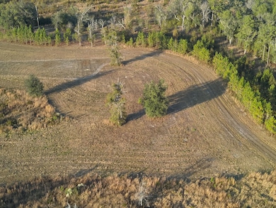 5150 Cr 405, Branford, FL 32008 - photo 3