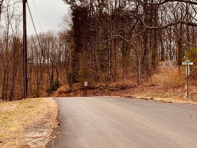 0 Bull Gap Rd unit 120310, Jasper, GA 30143 - photo 7