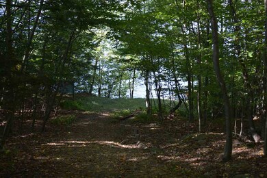 Map 33 Lot 68 Dillion Dr E, Strafford, NH 03884 - photo 4