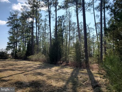 4908 David Greene Rd, Cambridge, MD 21613 - photo 3