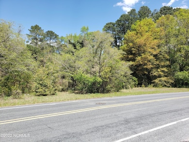 700 Academy, Fair Bluff, NC 28439 - photo 4