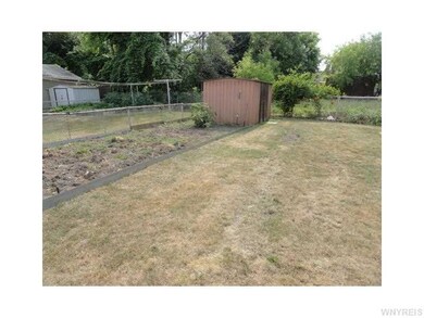 Backyard.