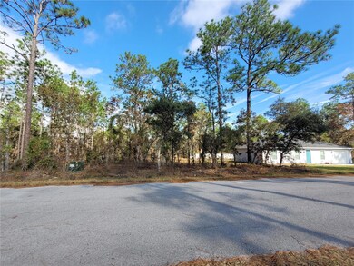 0 NW Foxglove Ln unit MFROM714399, Dunnellon, FL 34431 - photo 3
