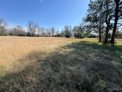 0 Barganier Rd unit 572423, Cecil, AL 36013 - photo 6