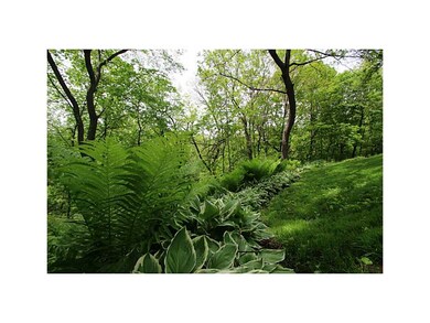 . Hostas and ferns line this property.