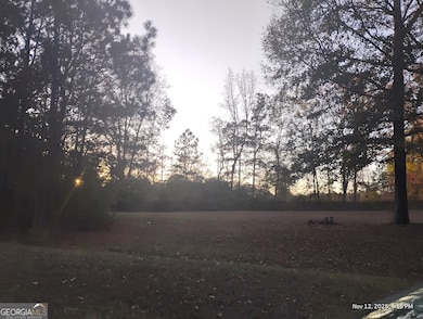 703 Central High Rd, Carrollton, GA 30116 - photo 4