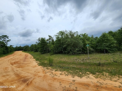 0 Onida St unit Lot 5 742925, Alford, FL 32420 - photo 6