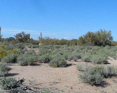 Come walk the property