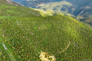 0 Lamartine Rd unit REC1819231, Idaho Springs, CO 80452 - photo 5