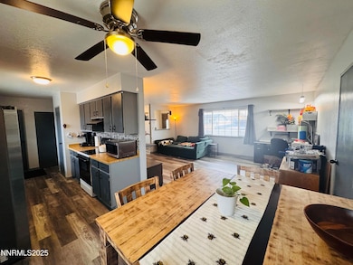 255 Sandia Dr, Fernley, NV 89408 - photo 7