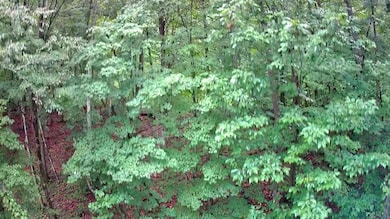 IMG_20250709_1704037
