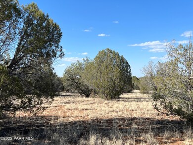 2d Stockmans Rd, Ash Fork, AZ 86320 - photo 2