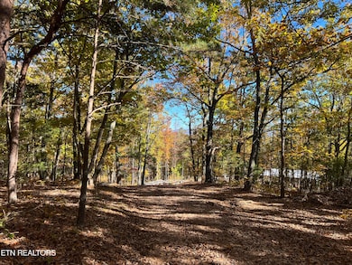 0 Polly Mtn Rd unit 1321445, Madisonville, TN 37354 - photo 5