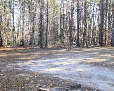 31 Sand Rd, Naples, ME 04055 - photo 2