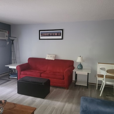 1093 Canyon Rd unit 303, Wisconsin Dells, WI 53965 - photo 3