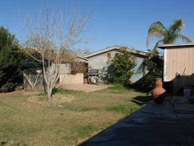 backyard east view