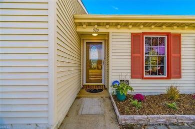 929 Pink Star Ct, Virginia Beach, VA 23454 - photo 2