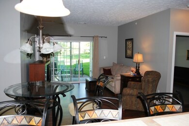 602 Aqua Marine Blvd unit 2, Avon Lake, OH 44012 - photo 2