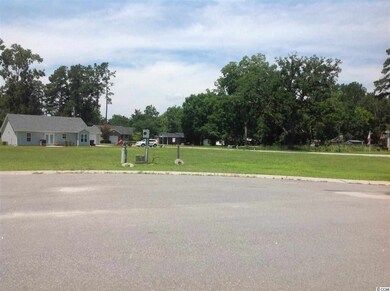 704 Adeline Ct unit Lot 5, Conway, SC 29526 - photo 3