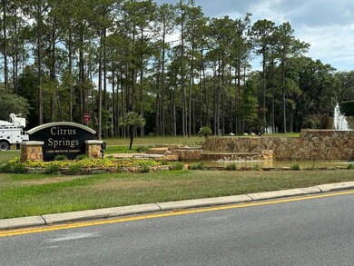 297 W Whitmarsh Ct, Citrus Springs, FL 34434 - photo 7