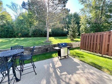 579 Daleview Dr unit 47, Aurora, OH 44202 - photo 4