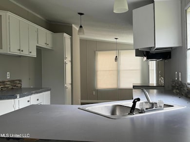 5575 Robin Wood Rd, Monticello, MS 39654 - photo 4