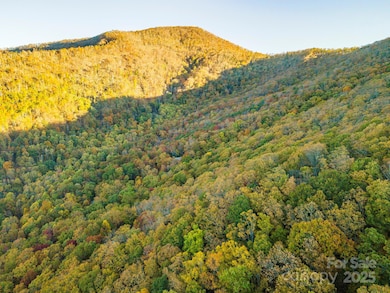 TBD Summer Haven Rd unit 1-6, Swannanoa, NC 28778 - photo 7