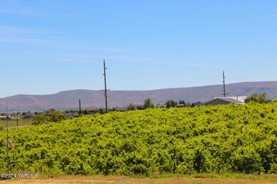 Orchard View