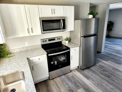 18 Airlie St unit 4, Worcester, MA 01606 - photo 2