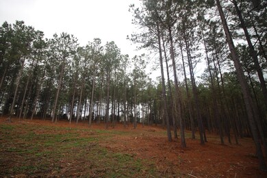 0 Hines Rd, Laurel, MS 39443 - photo 6