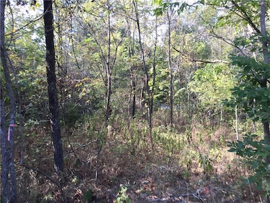 0 Partney Cir, Bella Vista, AR 72715 - photo 5