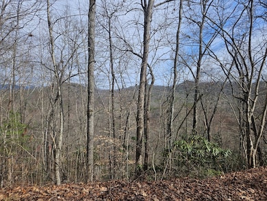 Trees could be trimmed for a better view!
