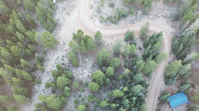 Aerial View Bird's Eye
