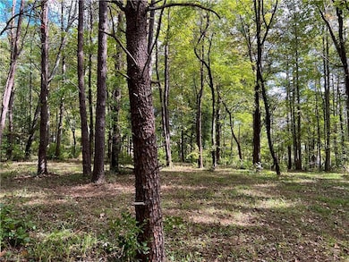 00 Jackson Rd unit 8.64 Ac, Mount Airy, NC 27030 - photo 6