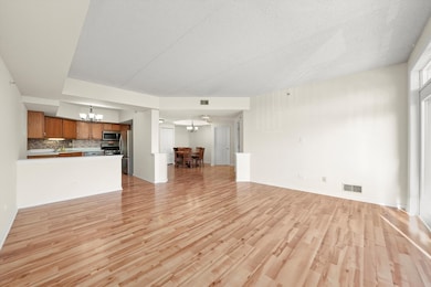 11001 Deblin Ln unit 203, Oak Lawn, IL 60453 - photo 6