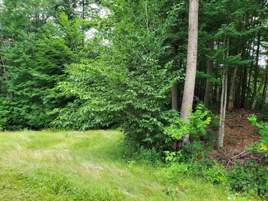 49 Whitcher Rd, Newport, NH 03773 - photo 5