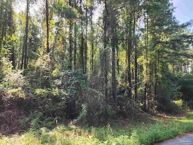 0 Lowery Rd unit Lot 11 668532, Atmore, AL 36502 - photo 4