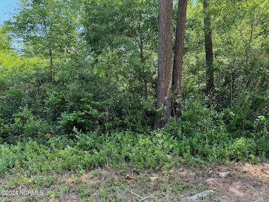 00 Old Lake Rd, Riegelwood, NC 28456 - photo 6