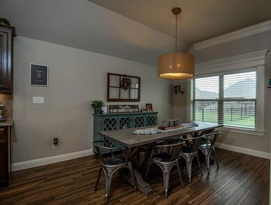 319 Oar Wood Dr, Granbury, TX 76049 - photo 7