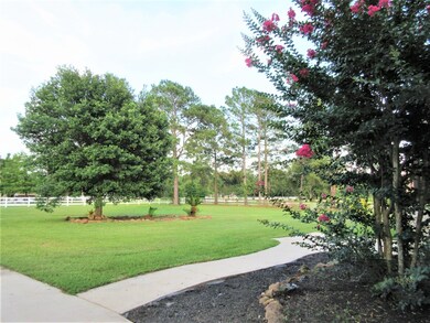 34142 Bar r Blvd, Magnolia, TX 77355 - photo 5