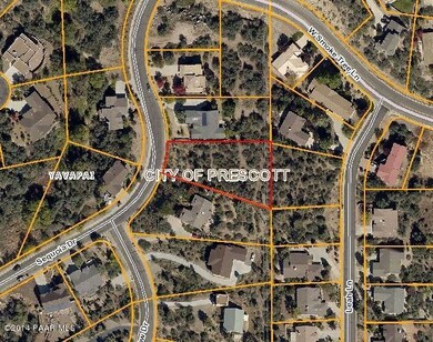GIS Aerial Map - 2515 Sequoia
