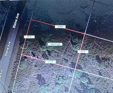 1241 Blaine Ave, Lehigh Acres, FL 33913 - photo 3