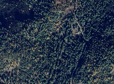 1557 Lily Valley Cir, West Point, CA 95255 - photo 6