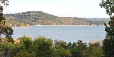 86 Overton Dr, Kimberling City, MO 65686 - photo 2