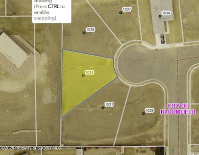 1033 Valley View Dr, Bloomfield, NM 87413 - photo 6