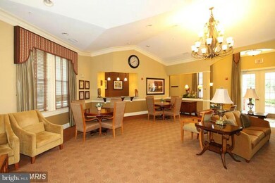 3810 Lightfoot St unit 304, Chantilly, VA 20151 - photo 4