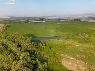 550 S Hereford Weigh Way, Manilla, UT 84046 - photo 2