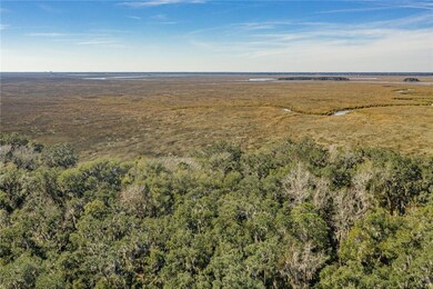 201 Saint Annies Ln, St. Simons, GA 31522 - photo 3