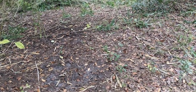 12730 Eola Ave, New Port Richey, FL 34654 - photo 2