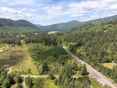 0 Lewis River Rd unit 467358333, Ariel, WA 98603 - photo 7